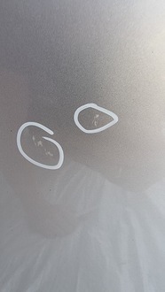 фото thumb №11, Opel meriva b дверь правые передние правые перед z157