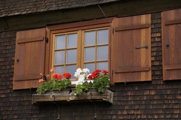 Sadolin СТОЙКАЯ морилка для лака Тек 0,75л