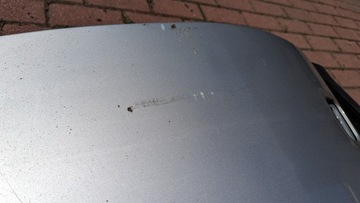 фото thumb №5, Двері передні перед ліві renault scenic iii ted69