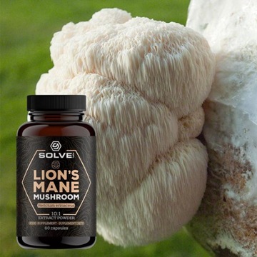 SolveLabs - LIONS MANE MUSHROOM - SOPLÓWKA JEŻOWATA KAPSUŁKI 60 SZTUK