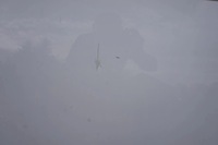 фото thumb №8, Лампа ліва kompletny перед jumpy scudo expert