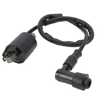 фото thumb №8, Набір свічка запалювання котушки запалювання cdi