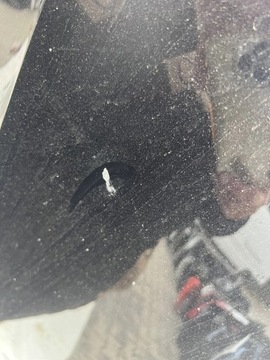 фото thumb №6, Капот audi q7 4m0 кришка двигуна перед