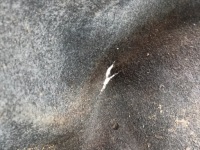 фото thumb №2, Challenger 2015+ boczeka оббивка багажника ліва