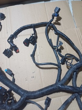 фото thumb №5, Ford kuga mk2 2.0 tdci dw10c 2013-2019 джгут двигуна cv6t-12a690-mdc