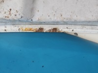 Капот передняя renault master 3 рестайлинг  14-19 белый Цена, фото thumb