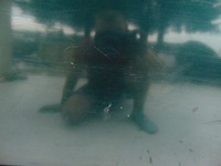 фото thumb №7, Дверь левая левый задняя задние fabia ii 5j kombi 9573