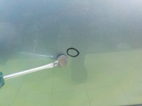 фото thumb №7, Suzuki sx4 1.6 b 09r hb 5d дверь правая зад комплектные