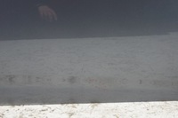 фото thumb №8, Дверь правый перед hyundai i40 t6s