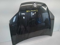 фото thumb №2, Капот кришка двигуна renault laguna iii