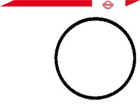 фото thumb №2, Прокладка термостата [elring]