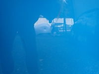 фото thumb №4, Капот крышка двигателя toyota chr ch r 2016-