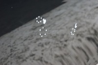 фото thumb №9, Двері лівий зад audi a4 b8 sedan