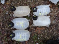 фото thumb №1, Бачок расширительный clio 5 v captur ii