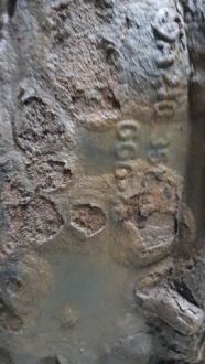 Купить Mercedes w203 2.2 cdi 150km дифференциал дифференциал мост механическая коробка передач, фото thumb