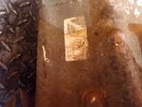 фото thumb №5, Nissan pathfinder r51 4.0 v6 05r 269km редуктор