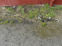 фото thumb №1, Audi q5 8r комплект трубопровод кондиционера