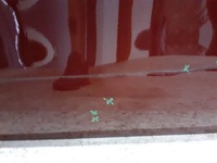 фото thumb №5, Дверь передние перед правые bmw 4 i4 g26 grand купе 2021-