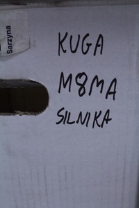 фото thumb №6, Электропроводка двигателя ford kuga ii mk2 17r. m8ma