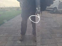 фото thumb №10, Ford ranger v капот 19-22 jb3b-16854-ac