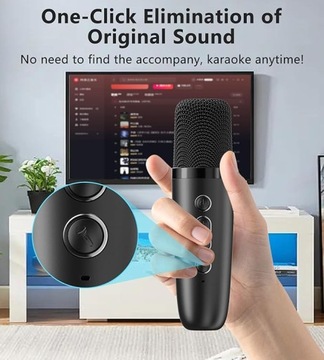 MAIKELU głośnik do karaoke 2 mikrofony,20W,11trybów RGB,BT/USB/TF/AUX (888)
