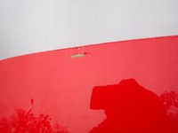 фото thumb №8, Mazda ii 2 07- крышка багажника задняя багажника