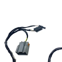 фото thumb №9, Жгут кровельная освещение ford tourneo connect