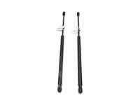 фото thumb №1, Амортизаторы амортизаторы крышки renault scenic ii lift 8200616559