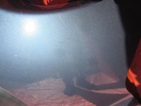 фото thumb №7, Subaru tribeca b9 бампер перед решітка радіатора kpl