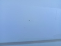 фото thumb №11, Двері ліві зад audi a4 b9 sedan білий ly9c