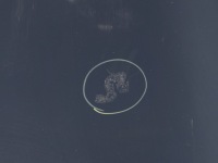 Капот крышка двигателя tegne renault megane 3 12-13r. 1 fl в Украине, фото thumb