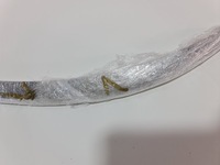 фото thumb №12, Volvo xc90 ii молдинг накладка dekor бампера левый задний правый задняя