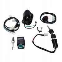 фото thumb №6, Выключатель аварийный катушка зажигания cdi набор