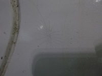 фото thumb №6, Citreon c3 i 02-09 бампер задній kompletny задня ewp