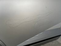 фото thumb №9, Hyundai ioniq 5 v дверь правые задние зад