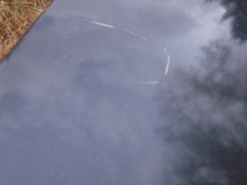 фото thumb №6, Капот w124 e класс mercedes рестайлинг крышка