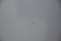 фото thumb №9, Дверь передние перед правое honda cr-v iii b538m