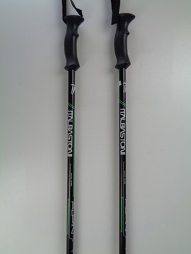 ЛЫЖНЫЕ ПАЛАКИ ITALBASTONI GREEN 110 + ЛЫЖНАЯ ЗАВИСКА