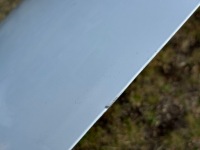 фото thumb №5, Капот audi a5 b10 8b3 ідеальна