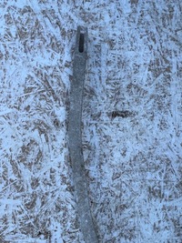 фото thumb №8, Усилитель балка задняя toyota chr 16-