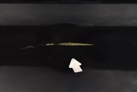 фото thumb №9, Двері ліва задня задні c197 mercedes r-klasa w251 05-10