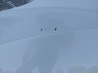 фото thumb №5, 73. крыло левый перед mazda cx-7