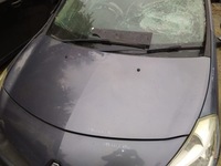 фото thumb №3, Капот крышка двигателя renault clio iii 3 05-09