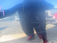 фото thumb №7, Капот перед fiat stilo