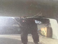 фото thumb №5, Дверь правые перед audi a8 d3 02-08 lz70