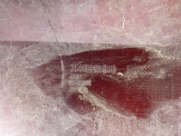 фото thumb №13, Volvo v60 ii 2 s60 iii 3 18- порог правый молдинг порог правая