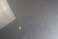 фото thumb №10, Капот крышка двигателя bmw x1 e84 a22 sparkling grapphite