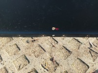 фото thumb №8, Jeep compass ii 16- бампер передний перед спойлер 11602500001