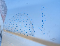 фото thumb №10, Дверь перед правый renault trafic ii opel vivaro a nissan primastar 01-14 pń