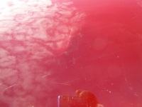 фото thumb №3, Alfa romeo giulietta дверь перед левая